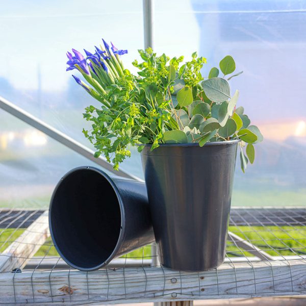 Cut Flower Display Buckets 13L Conical on Sale - Image 2