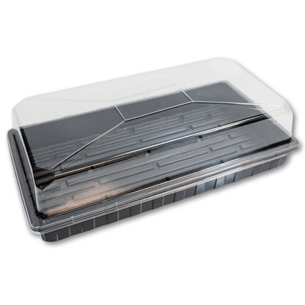 Dome and Tray Combo Online now