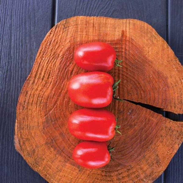 Tomato Atrevido F1 Seed on Sale - Image 2