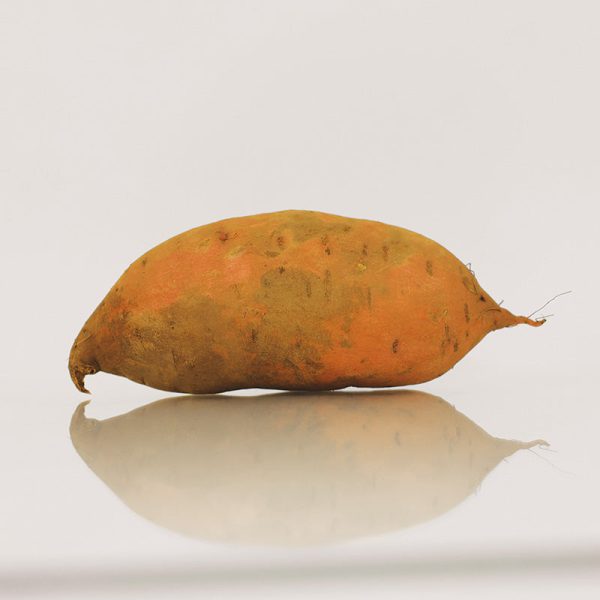 Sweet Potato Beauregard Online Hot Sale - Image 5