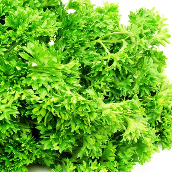 Parsley Forest Green Seed Online now - Image 3