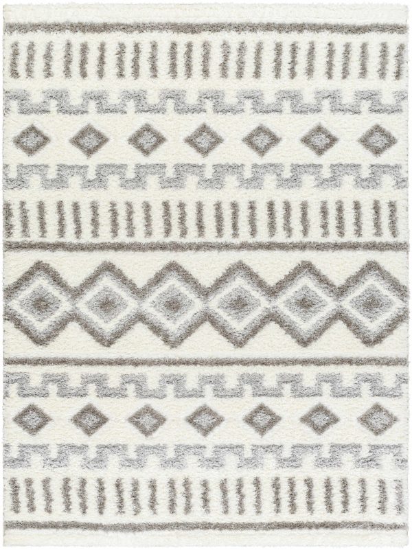 Sample Tevy Area Rug Fashion