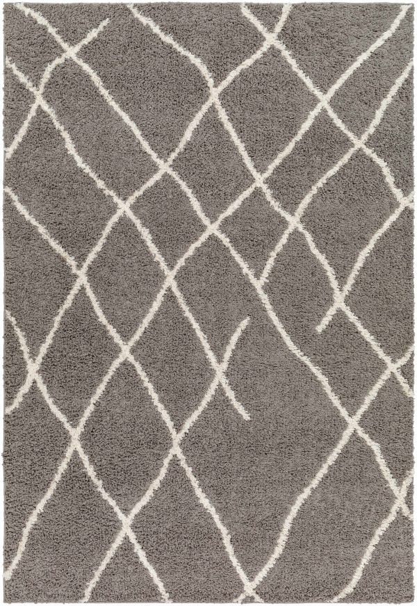 Sample Ildri Area Rug For Cheap